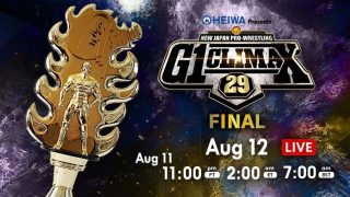 Watch NJPW G1 Climax 29 2019 Final Day 19 8/12/19