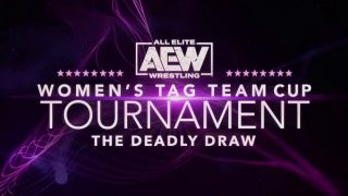 AEW Womens Tag Team Cup Tournament 2020 Night 3 8/18/20